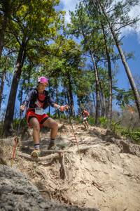 BIB: 3405
                            <button type="button" onclick="openModal(15932337)" class="btn btn-primary btn-sm float-right btn-popup" data-toggle="modal" data-target=".modal-high-quality">
                        <i class="fas fa-shopping-cart"></i> Add to Cart
                    </button>
                                            <button type="button" onclick="isThisMe(15932337, true)" class="btn btn-success btn-sm float-right btn-popup btn-isme hidden" data-toggle="tooltip" data-placement="bottom" title="นี่คือรูปของคุณใช่ไหม คลิกที่นี่เพื่อเอาเข้าอัลบั้ม">
                        <i class="fas fa-plus"></i> Add to album
                    </button>
                    <button type="button" onclick="isThisMe(15932337, false)" class="btn btn-warning btn-sm float-right btn-popup btn-isnotme hidden">
                        <i class="fas fa-ban"></i> Remove from album
                    </button>